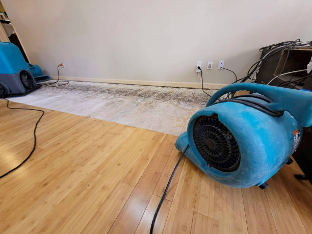 Professional Water Damage Repair technician working in Rushville, IN