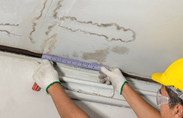 Affordable Water Damage Repair solutions in Rushville, IN
